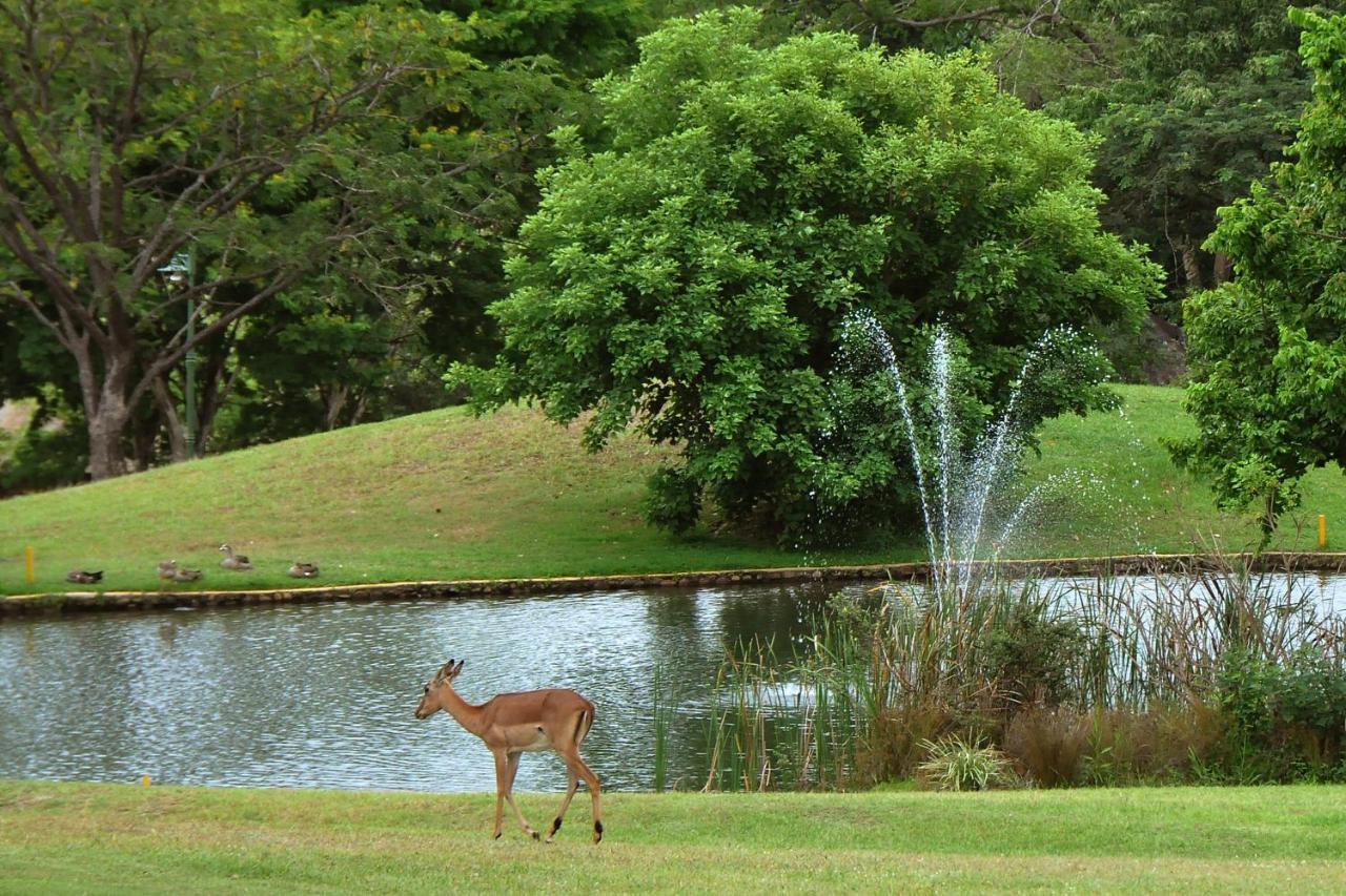 Kruger Park Lodge Unit No. 608B Hazyview Zewnętrze zdjęcie
